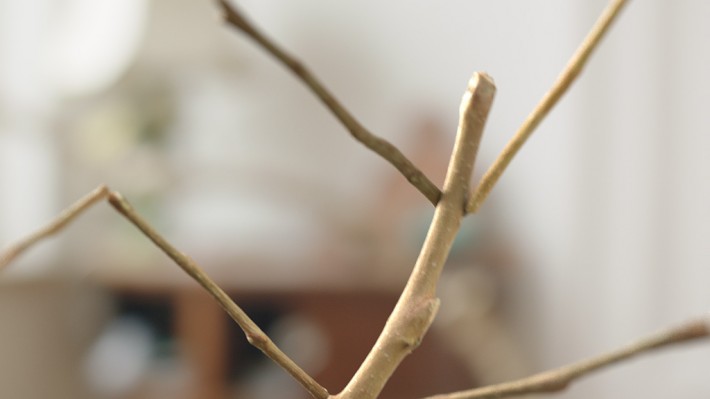 Walking Stick, 2017, Videostill, HD, sound, 10 min