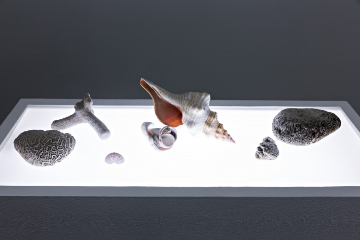 Fotocredit Fred Dott/NKHH